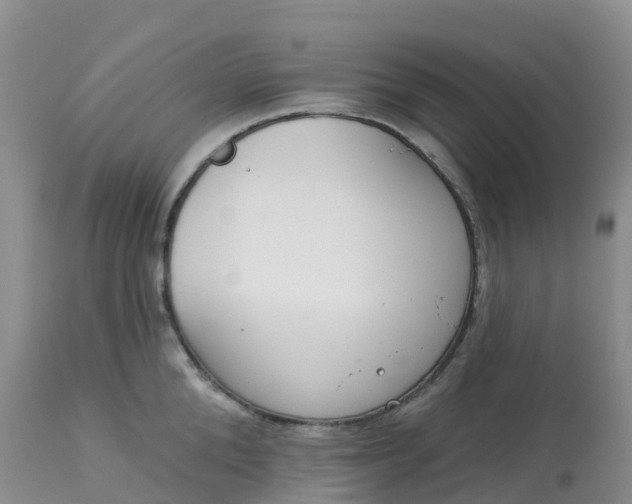 X0000113100904200909111048