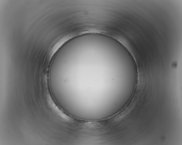 X0000113100906200909111048