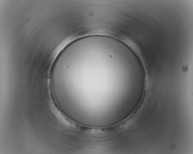 X0000113100907200909111048