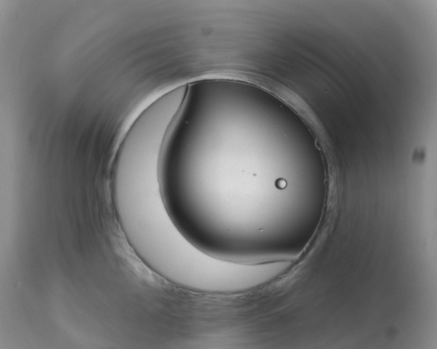 X0000113100908200909111048
