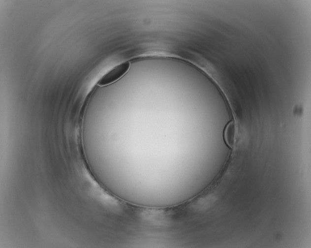 X0000113100909200909111048