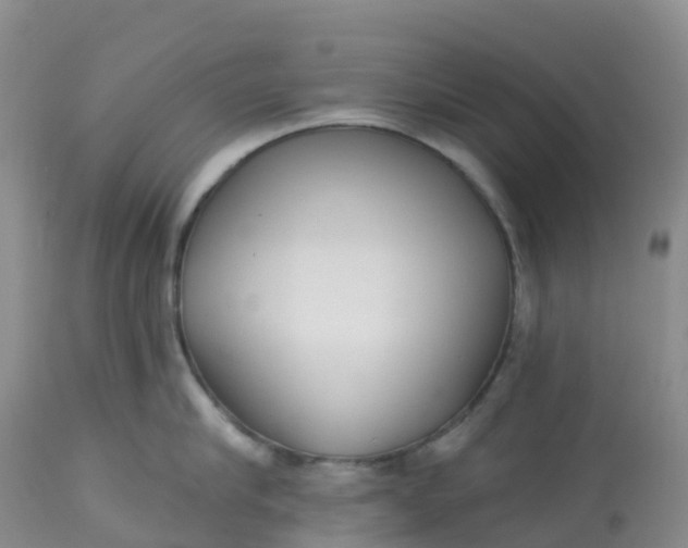X0000113100910200909111048