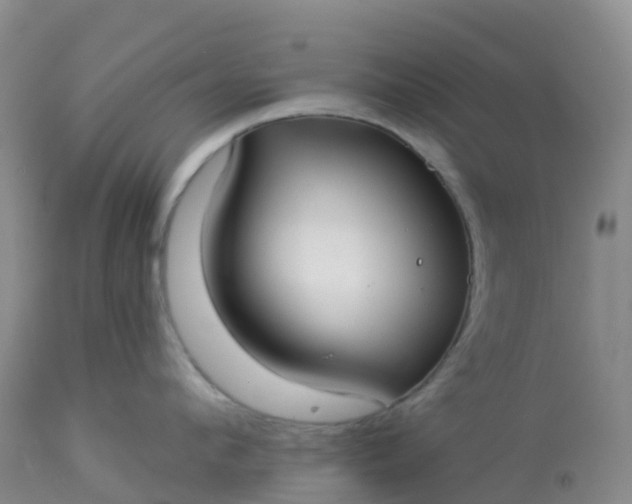 X0000113100912200909111048