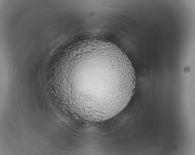 X0000113100913200909111047