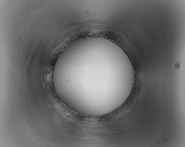 X0000113100914200909111047