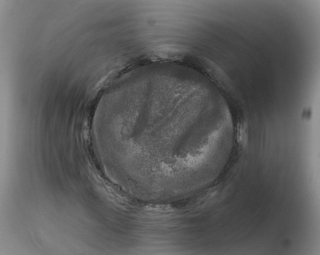 X0000113100915200909111047