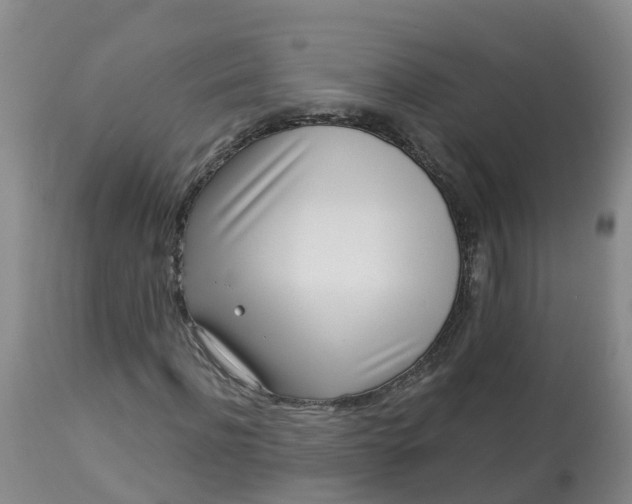X0000113100916200909111047