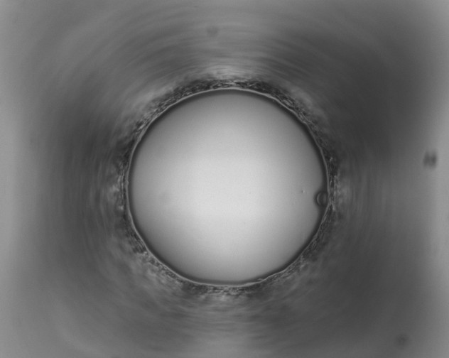 X0000113100917200909111048