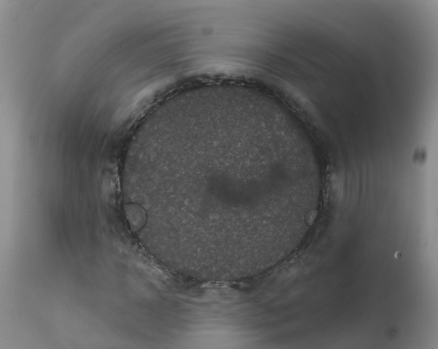 X0000113100918200909111048