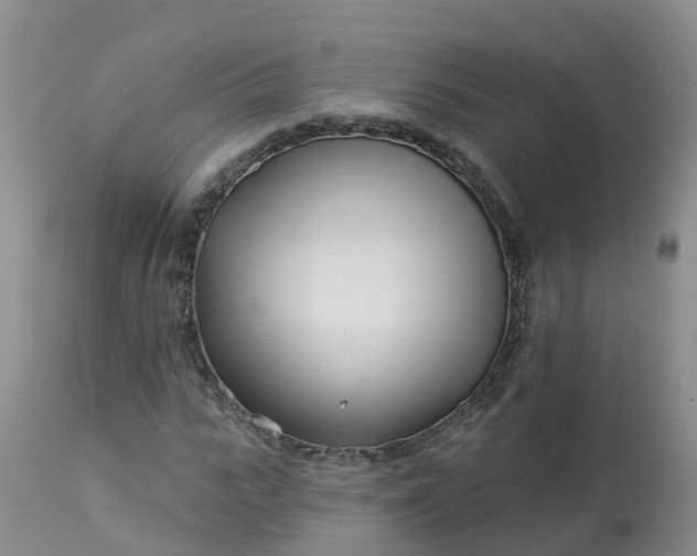 X0000113100919200909111048