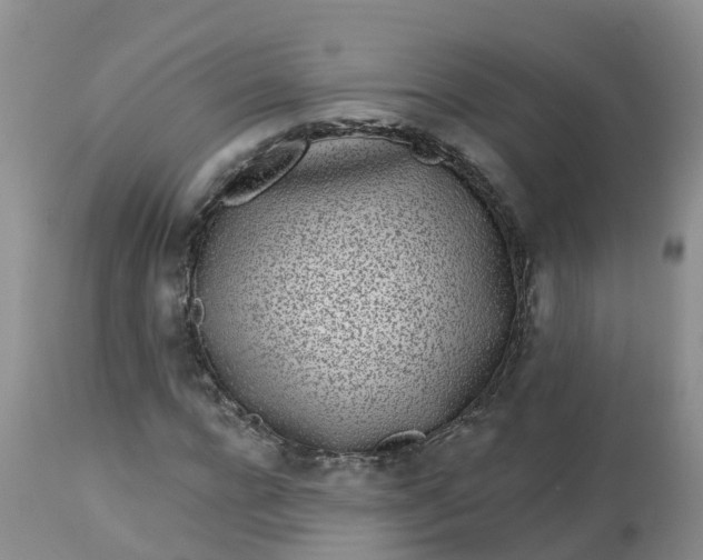 X0000113100920200909111048