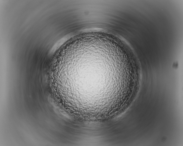 X0000113100921200909111048