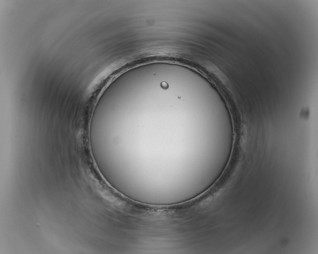 X0000113100922200909111048