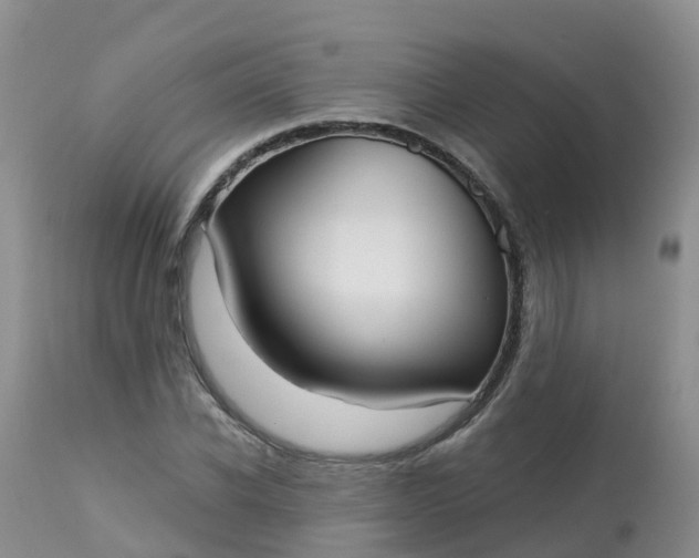 X0000113100926200909111048