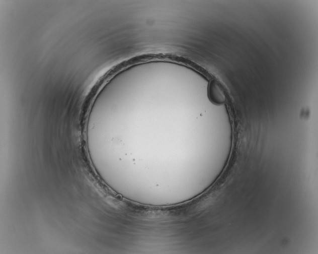 X0000113100927200909111048