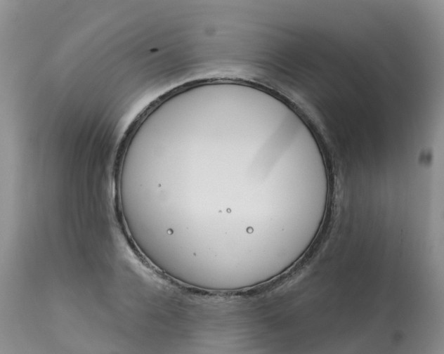 X0000113100936200909111048