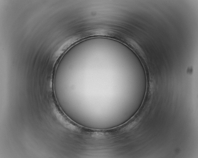 X0000113100938200909111048