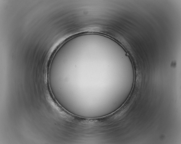 X0000113100939200909111048