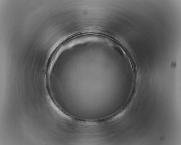 X0000113100941200909111048