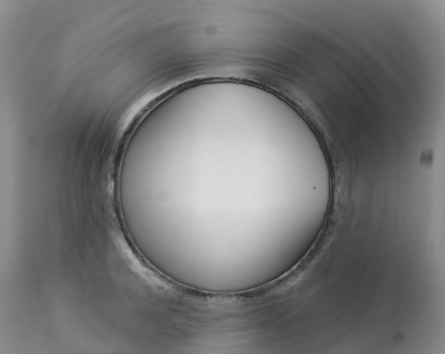 X0000113100944200909111048