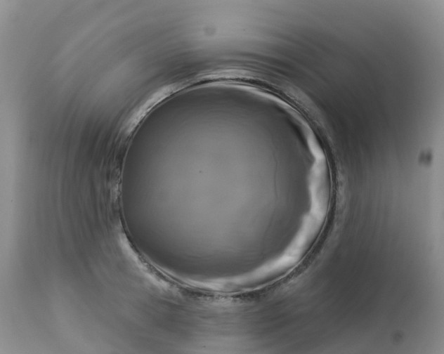 X0000113100945200909111048