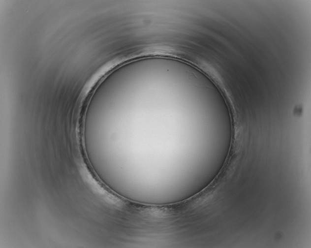 X0000113100947200909111048