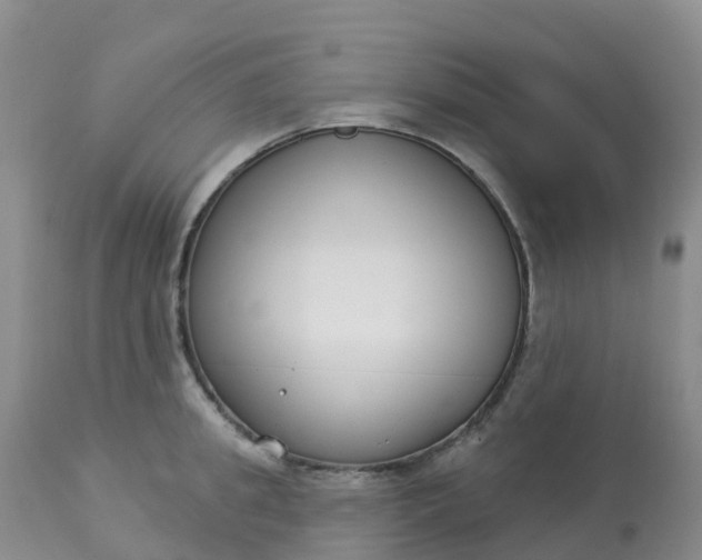 X0000113100949200909111048