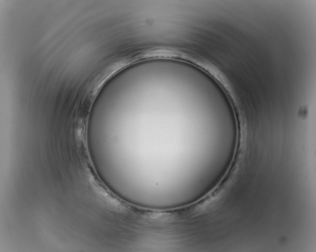 X0000113100953200909111048