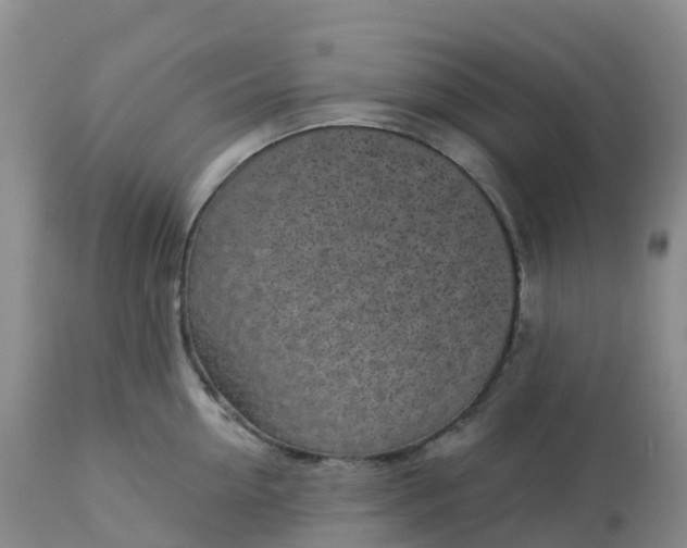 X0000113100954200909111048