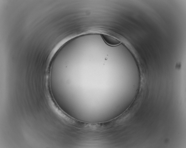 X0000113100955200909111048