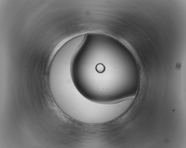 X0000113100956200909111048