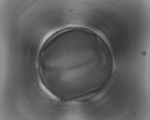 X0000113100958200909111048