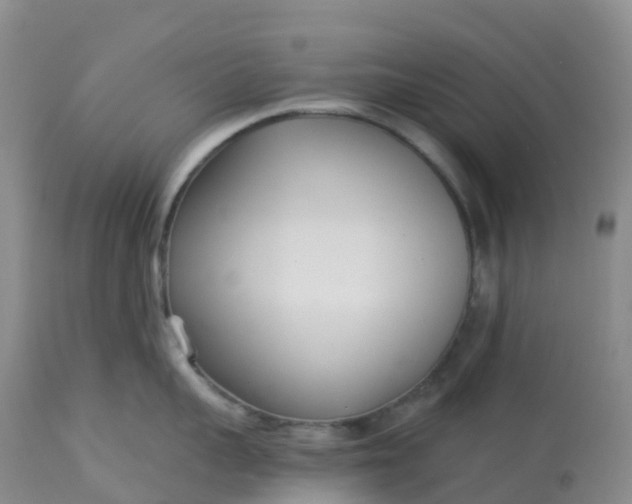 X0000113100959200909111048