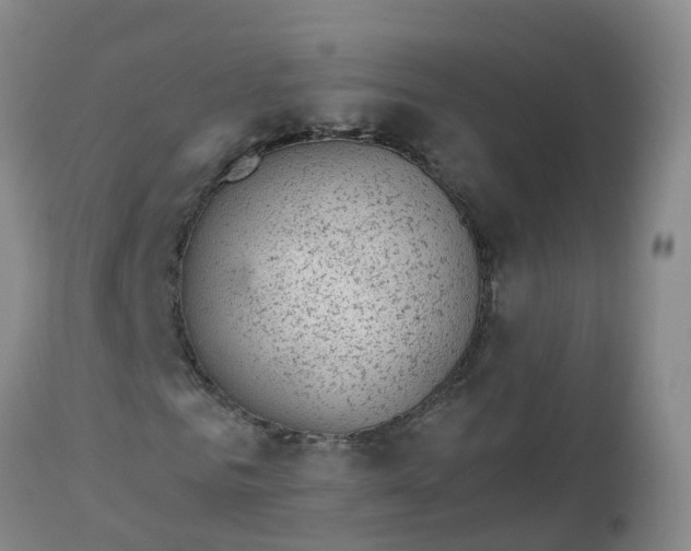 X0000113100961200909111047