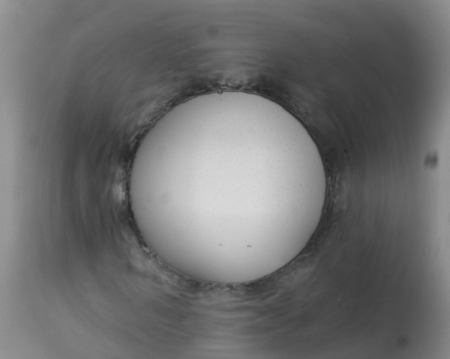 X0000113100962200909111047