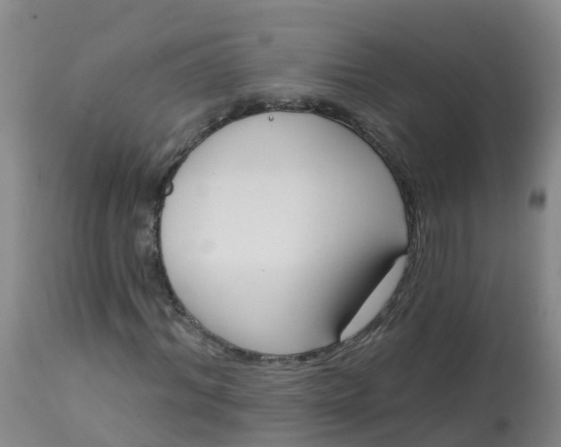 X0000113100964200909111047
