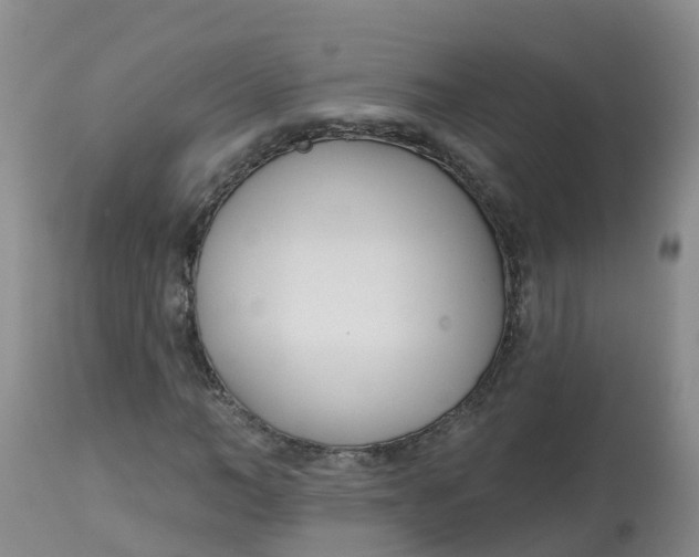 X0000113100966200909111047