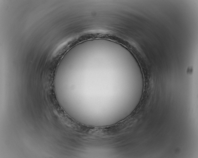 X0000113100967200909111047