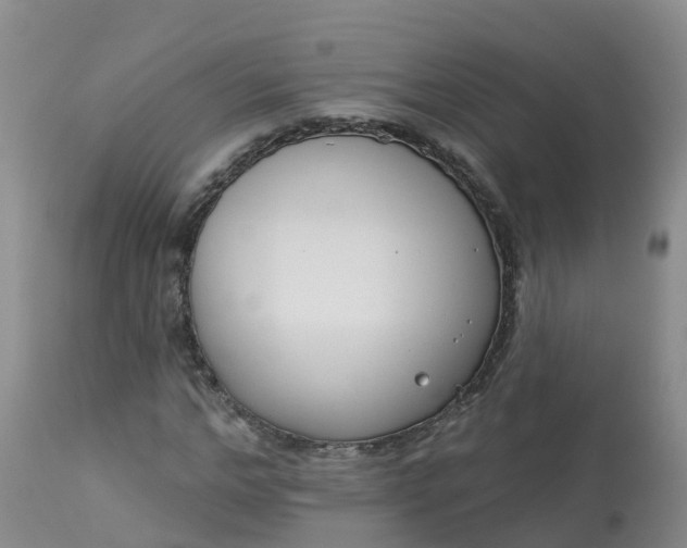 X0000113100968200909111047