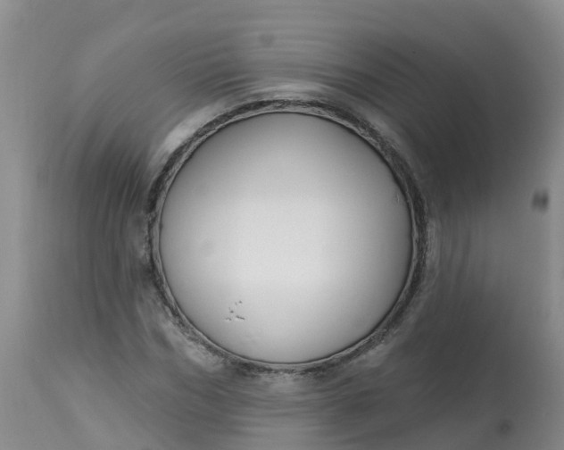 X0000113100970200909111047