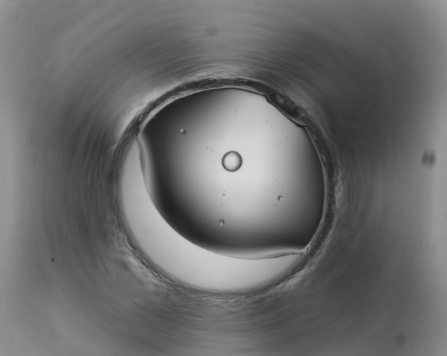 X0000113100973200909111047