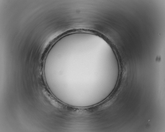 X0000113100974200909111047