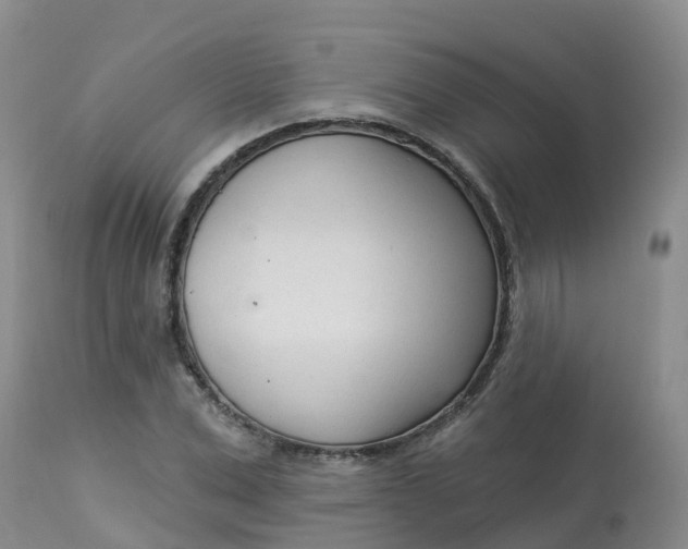 X0000113100975200909111047