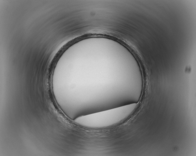 X0000113100976200909111047