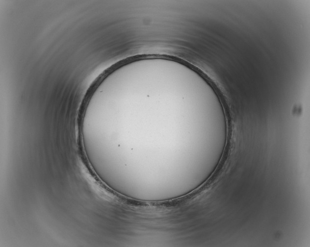 X0000113100980200909111047