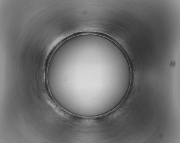 X0000113100982200909111047