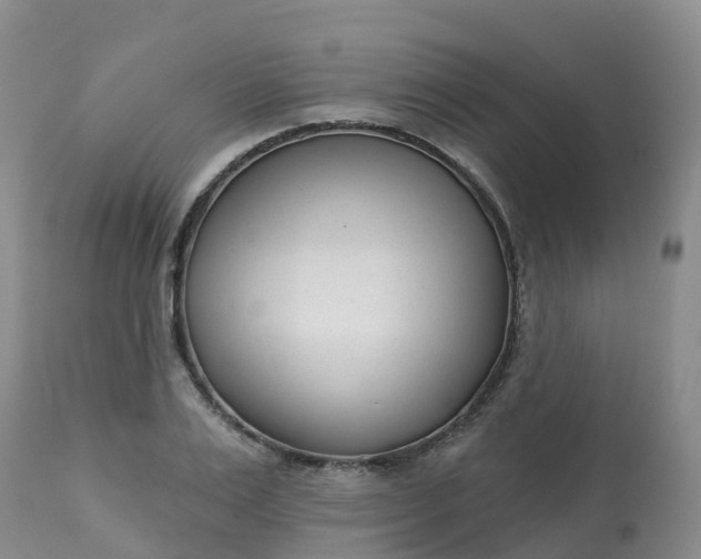 X0000113100983200909111047