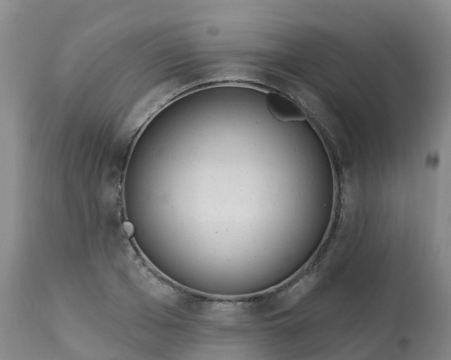 X0000113100985200909111047