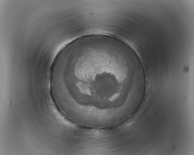 X0000113100987200909111047