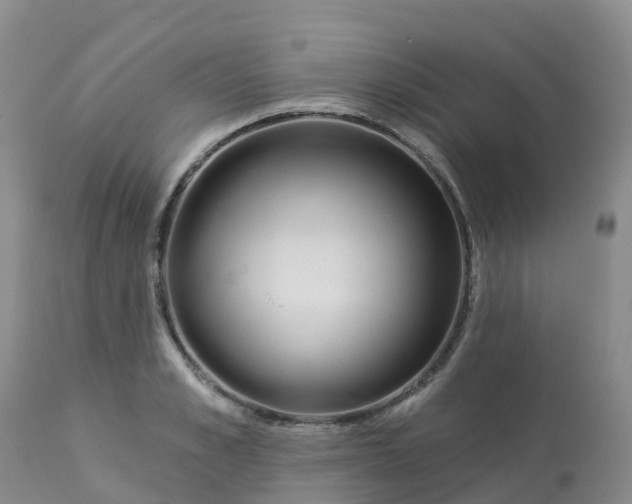 X0000113100989200909111047